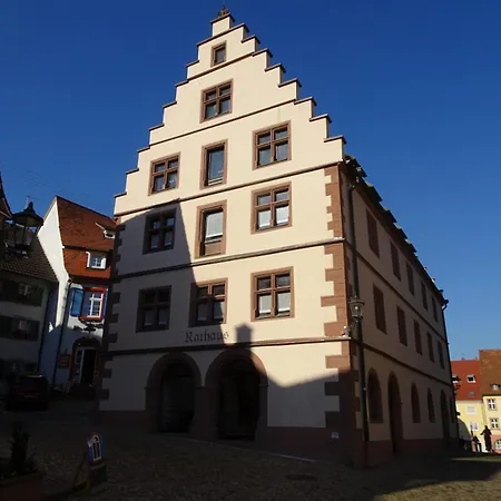 Apartment Schwaer Endingen am Kaiserstuhl Exterior foto